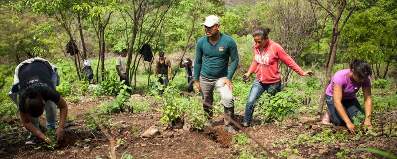 3,75 m² Wald werden in Nicaragua angepflanzt und nachhaltig gepflegt