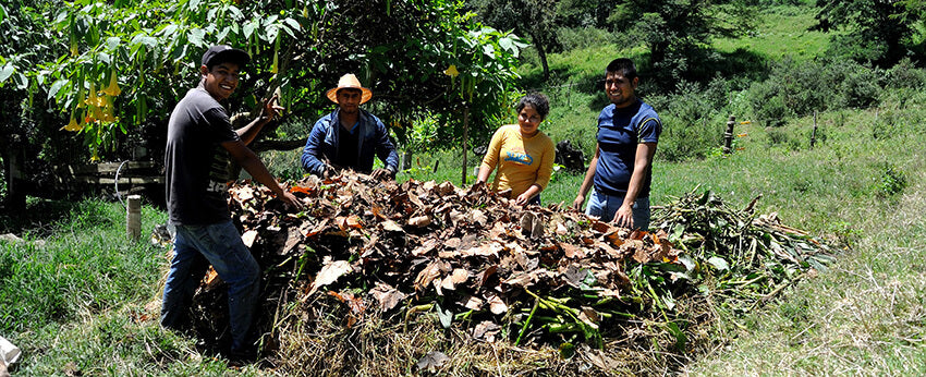 1 1/2 hours of organic farming lessons for young farmers in Mexico