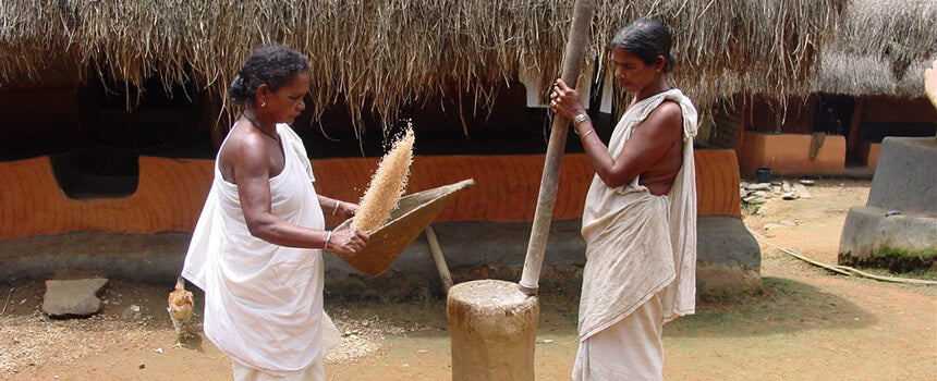 Gemüsesamen für eine indigene Familie in Indien