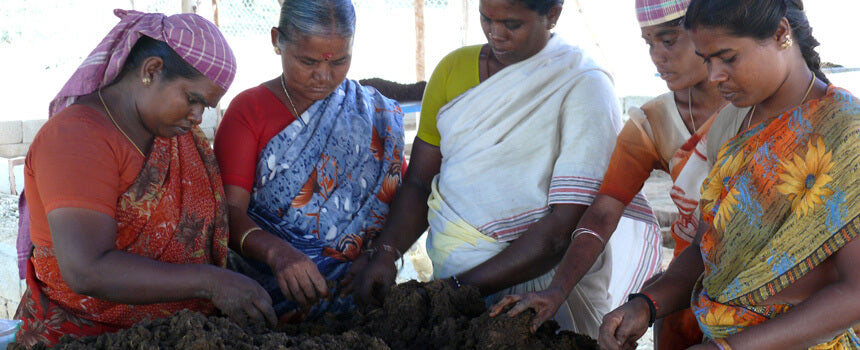 1,1 m² kontaminiertes Ödland in Indien werden rekultiviert