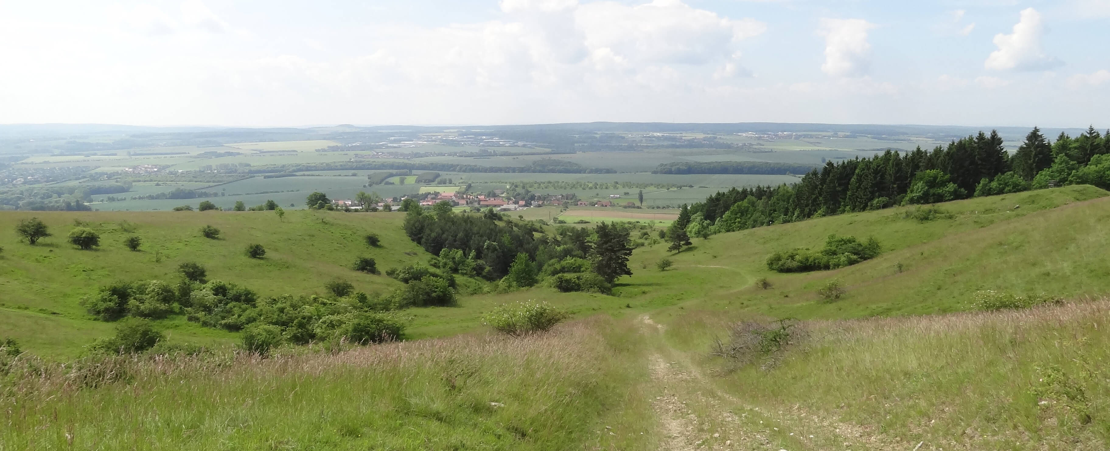 6.25 m² of species-rich meadow near Weimar will be placed under protection