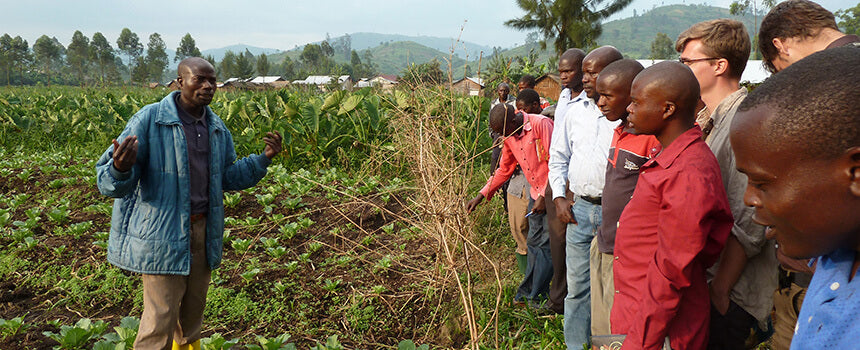 One day of studying agricultural sciences for one person in the DR Congo