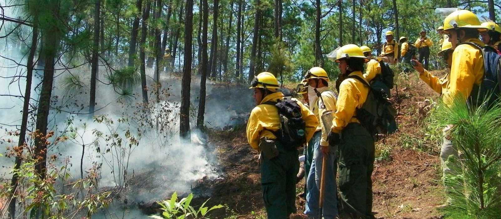 8 m² of woods reforested and protected against wild fires in Guatemala