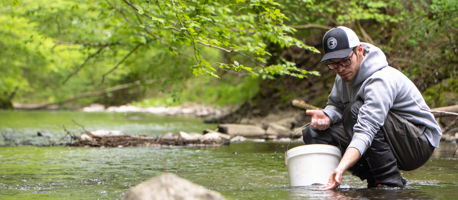 Rearing of a juvenile salmon and releasing it into the Rhine