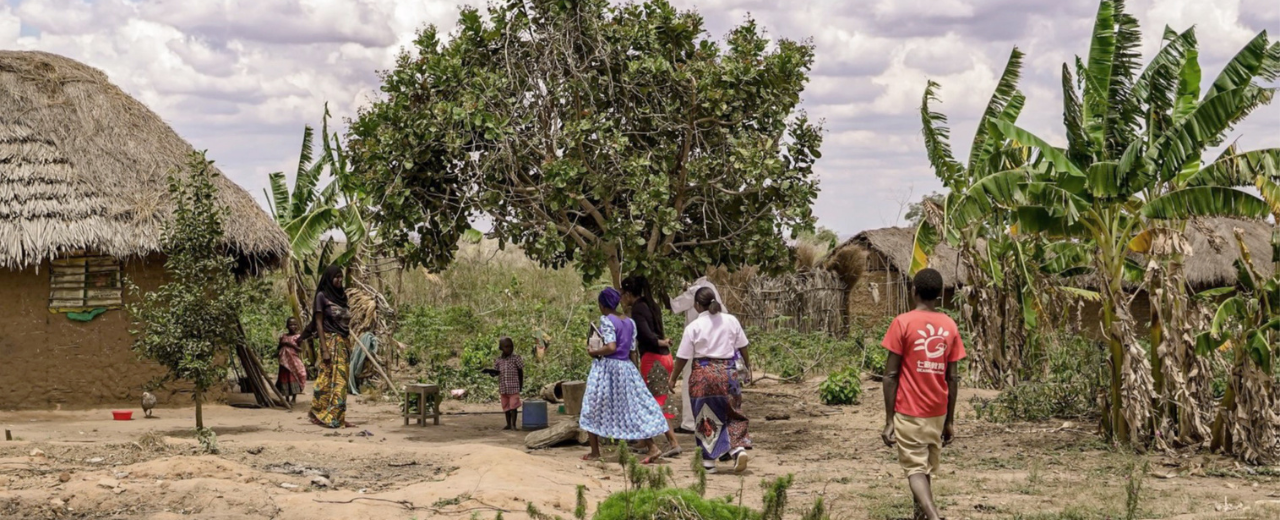 ½ m² of sustainable fruit & vegetable cultivation for a family in Tanzania