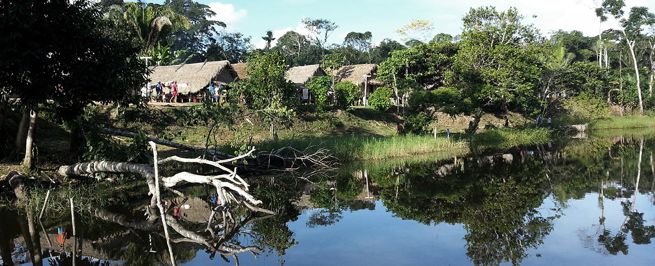 150 m² Amazonas-Regenwald werden in Brasilien geschützt