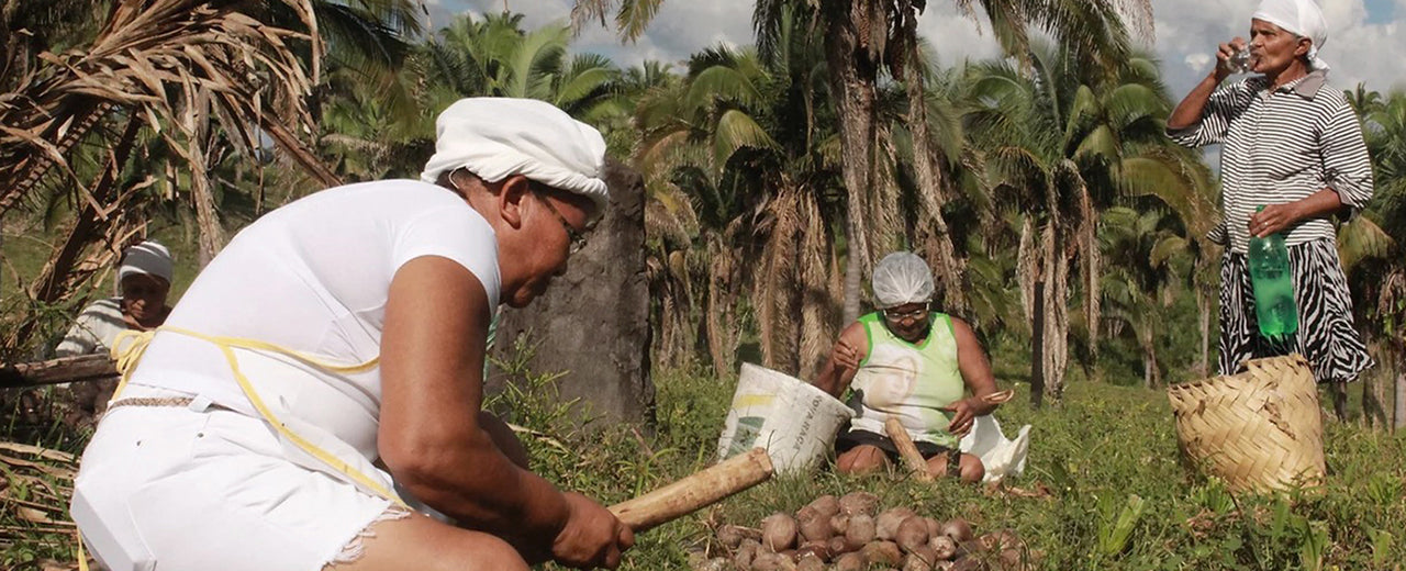 33 min. Training for women and rainforest protection in Brazil