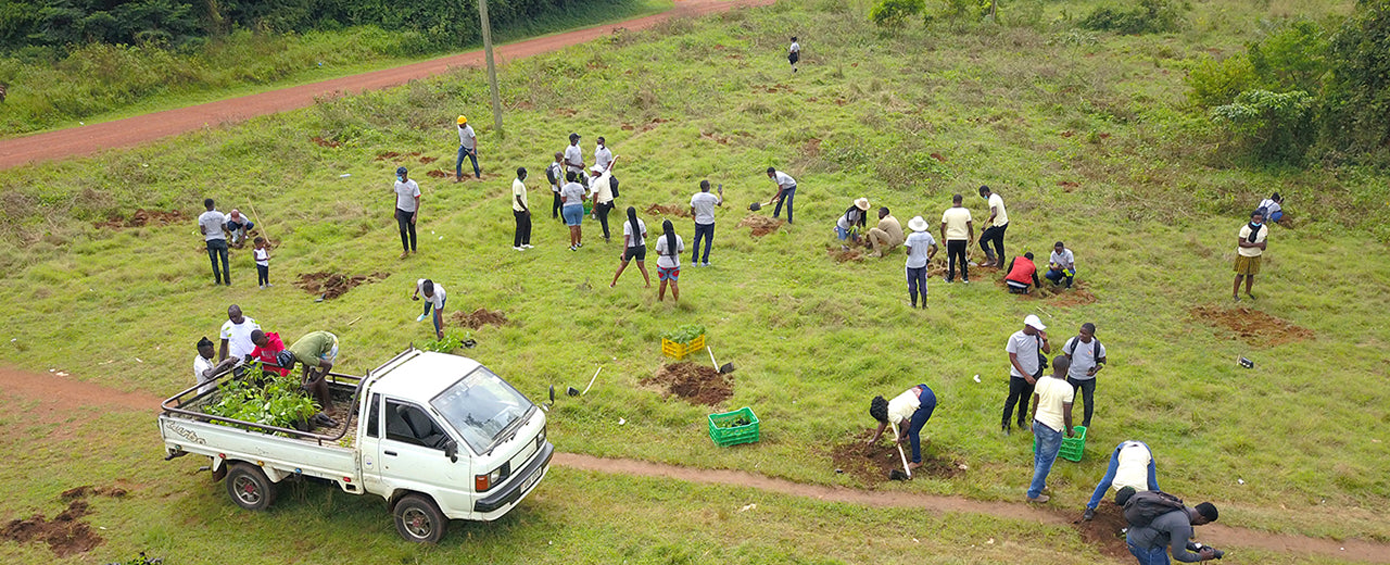 Ein neuer Baum für den Kaazi-Wald in Uganda